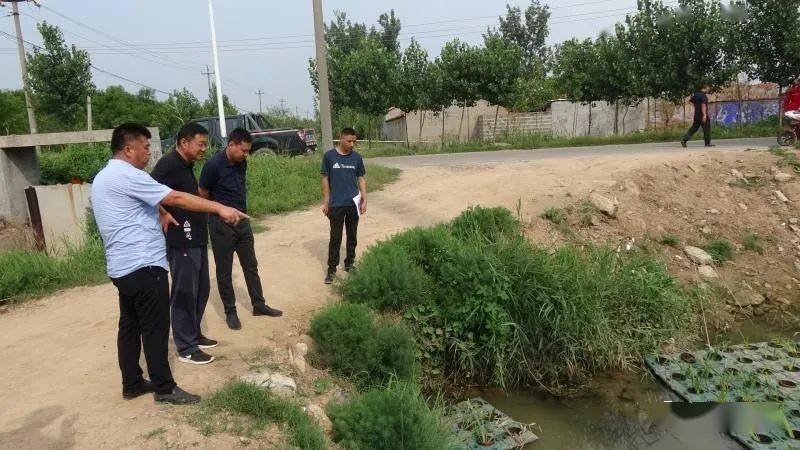 农村环境整治方案探索：构建美丽宜居乡村