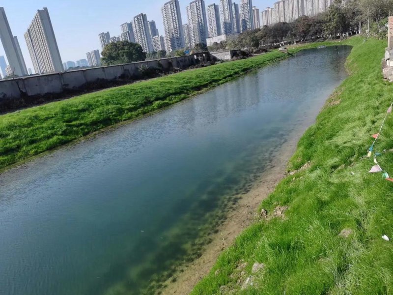 河道治理公司：守护碧波荡漾的魅力